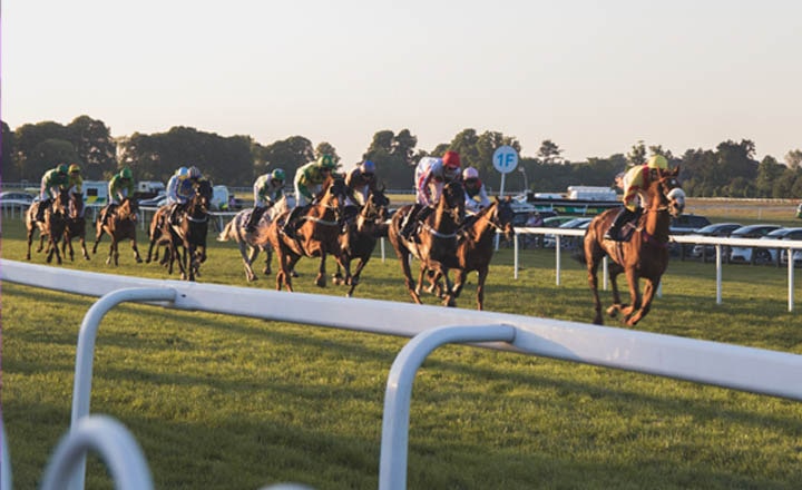 Horse Racing