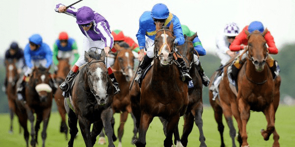 Horse Racing